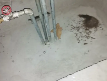 涡阳卫生间测漏水价格明细